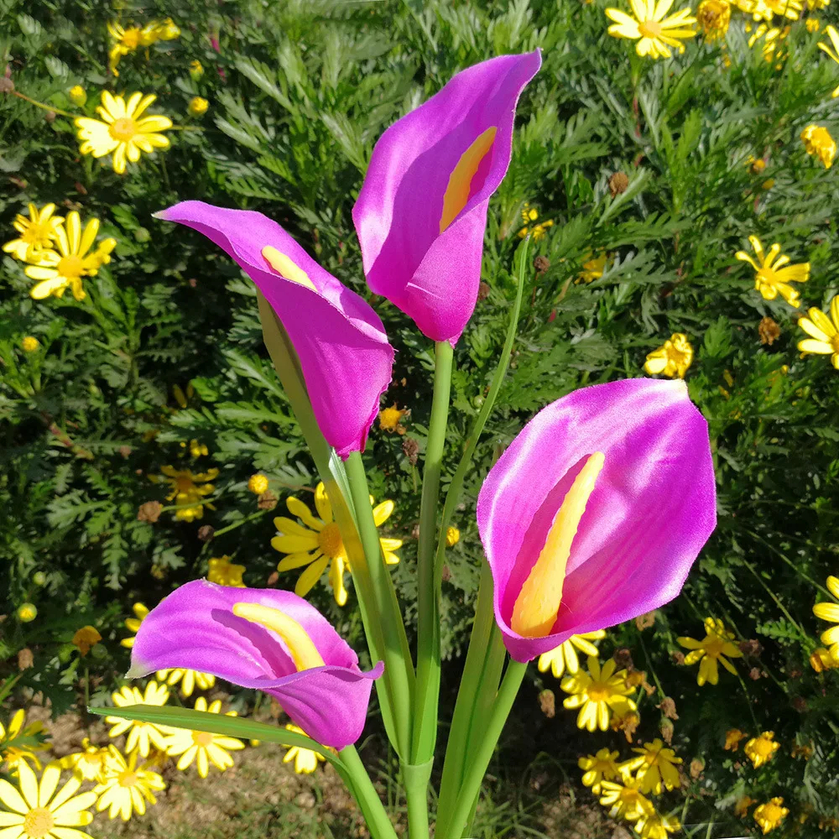 Kova Solar Calla Lily Garden Light