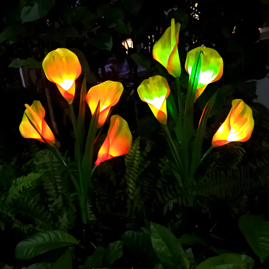 Kova Solar Calla Lily Garden Light