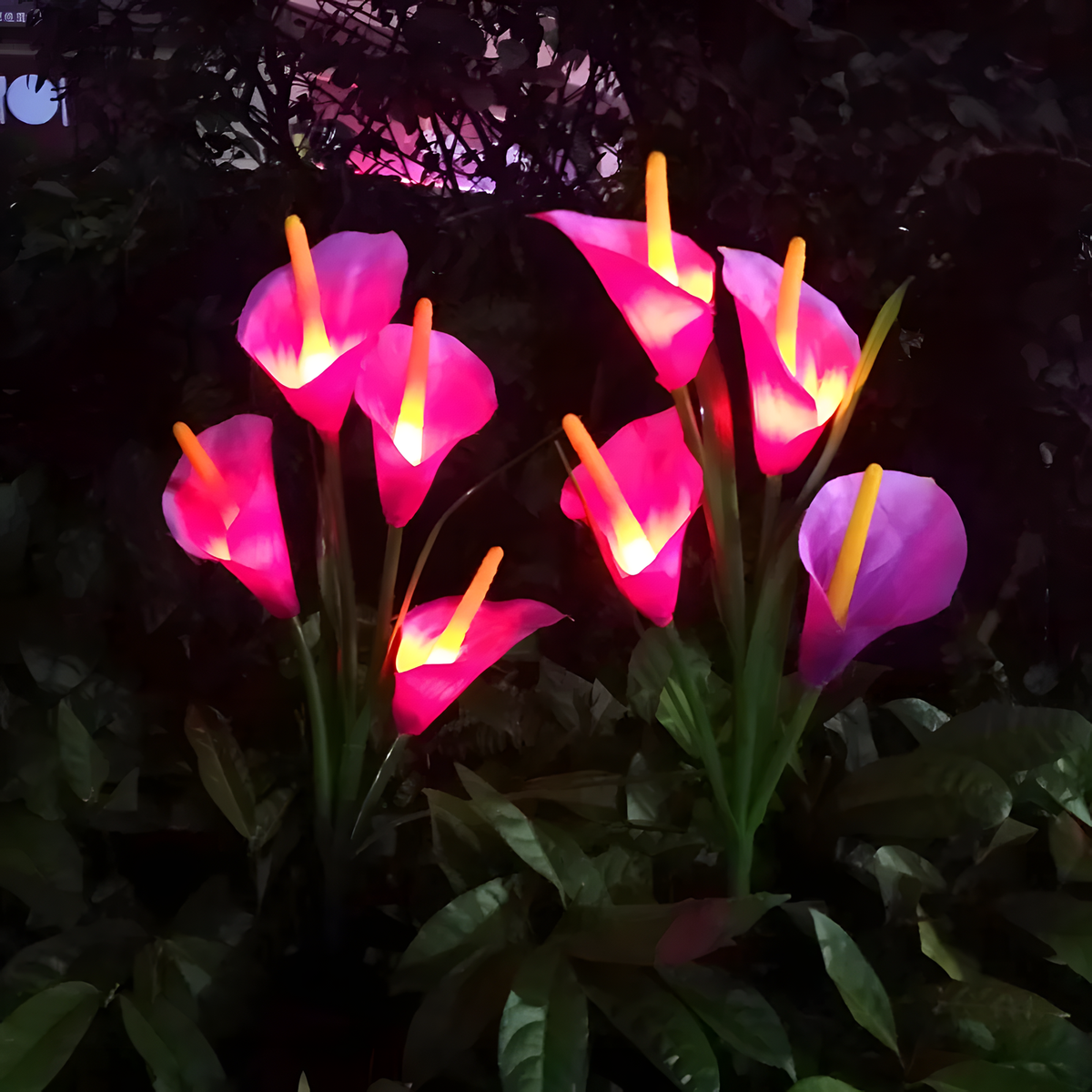 Kova Solar Calla Lily Garden Light