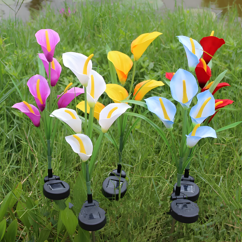 Kova Solar Calla Lily Garden Light