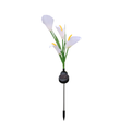 Kova Solar Calla Lily Garden Light